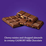 CADBURY DAIRY MILK Fruit & Nut Chocolate Bar  Pack of 14