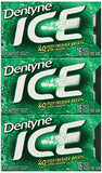 Dentyne Ice Sugar-Free Gum (Spearmint, 16 Piece, Pack of 9)