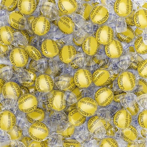 Sugar Free Lemon Drops by The Nile Sweets,1 lb of Lemon Flavored Sugar Free Candy, Individually Wrapped Bon Bons, Keto Friendly Candy, 1 lb